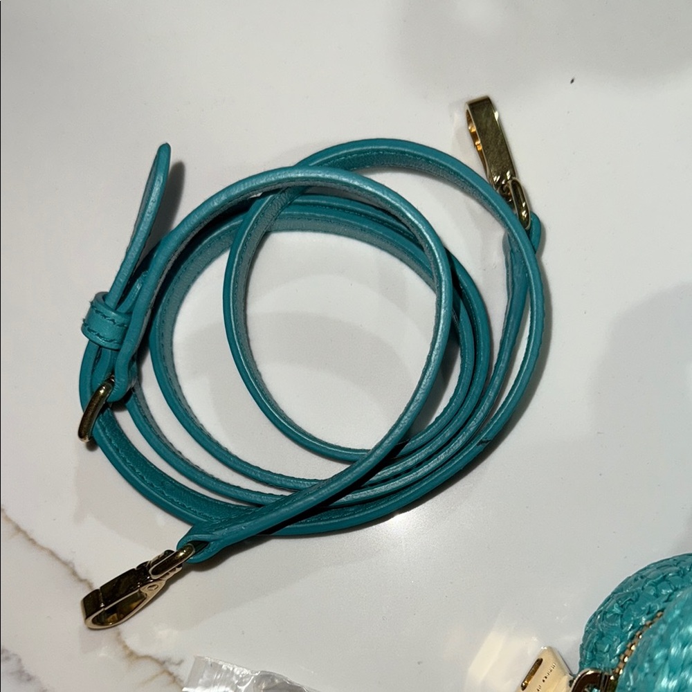 Miu Miu Teal Raffia Bag NWT - Picture 4 of 6
